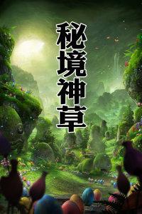 公子是女生
